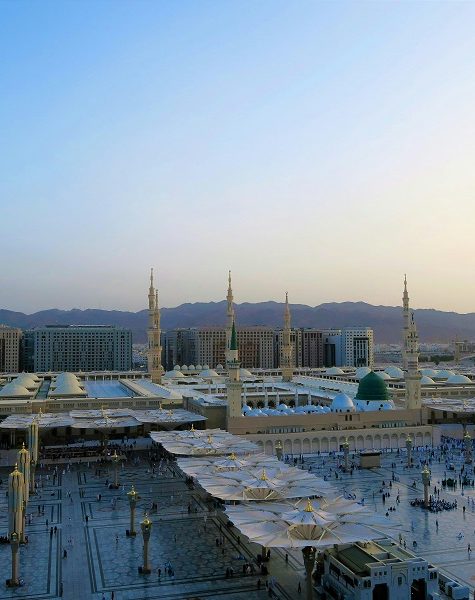 pexels-konevi-2291789