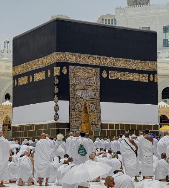 pexels-yasirgurbuz-32290180